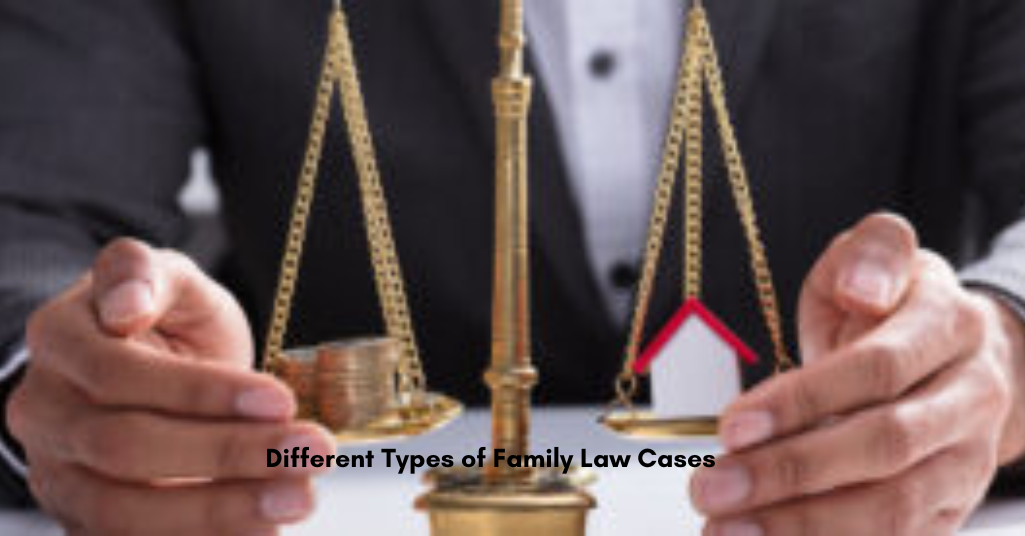 What Types of Family Law Cases Does MVLS Handle? 