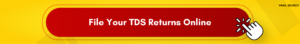 File your TDS Return Online