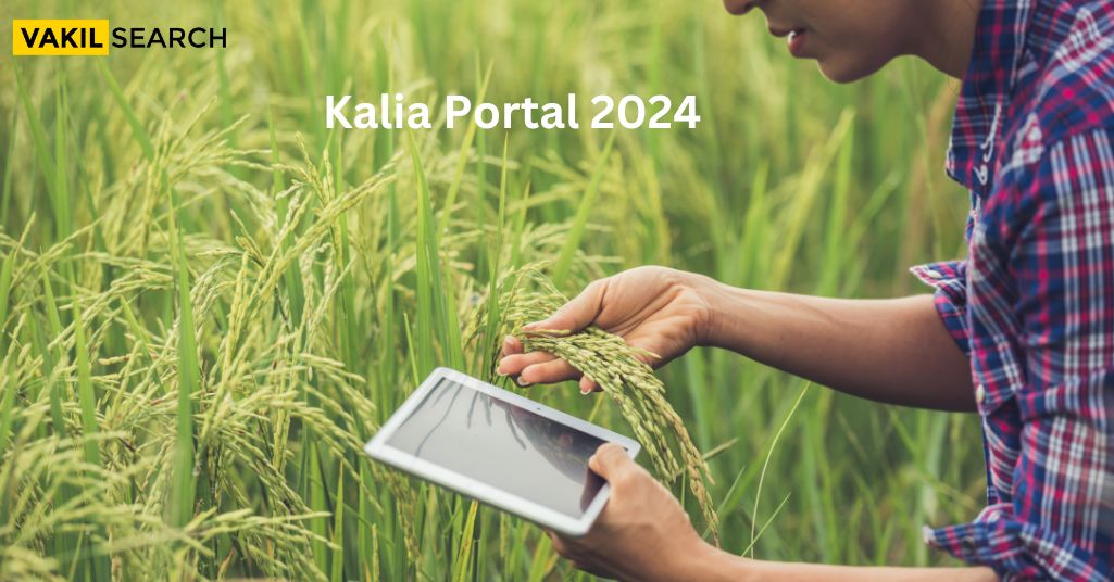 Kalia Portal 2024 Apply Online, Eligibility and eKYC