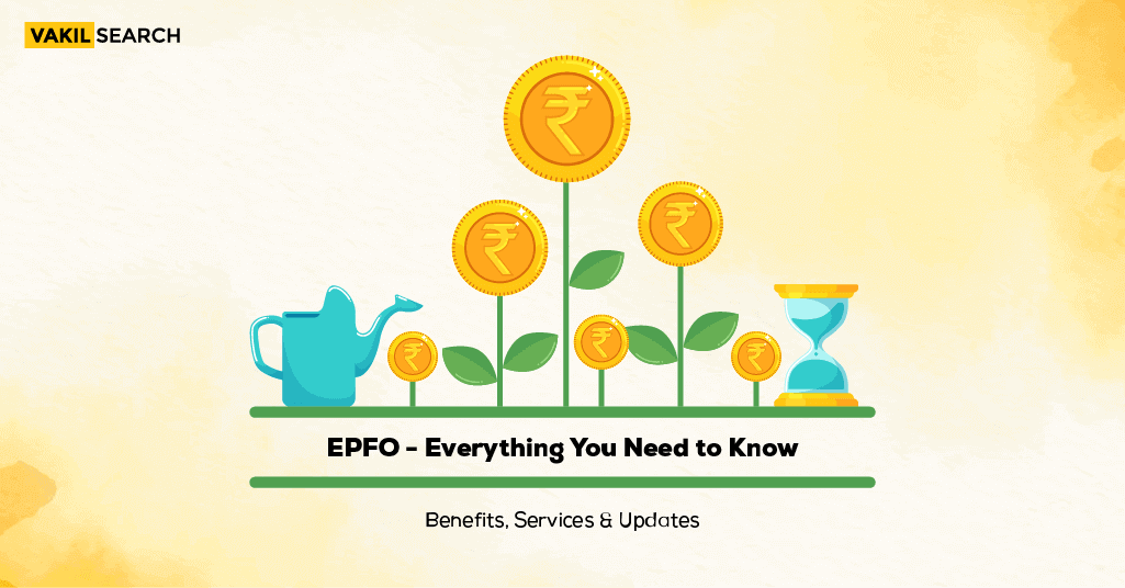 epfo-login-guide-to-login-epfo-member-portal