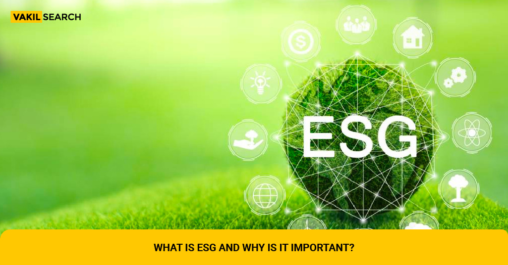 What Is Environmental, Social, and Governance (ESG) Investing?