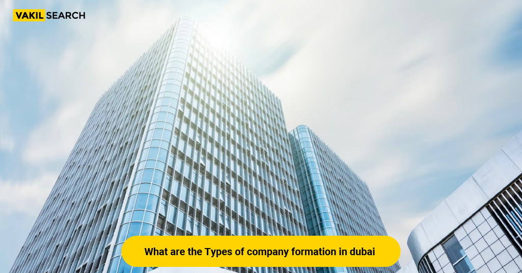 What Are the Types of Company Formation in Dubai? - Vakilsearch