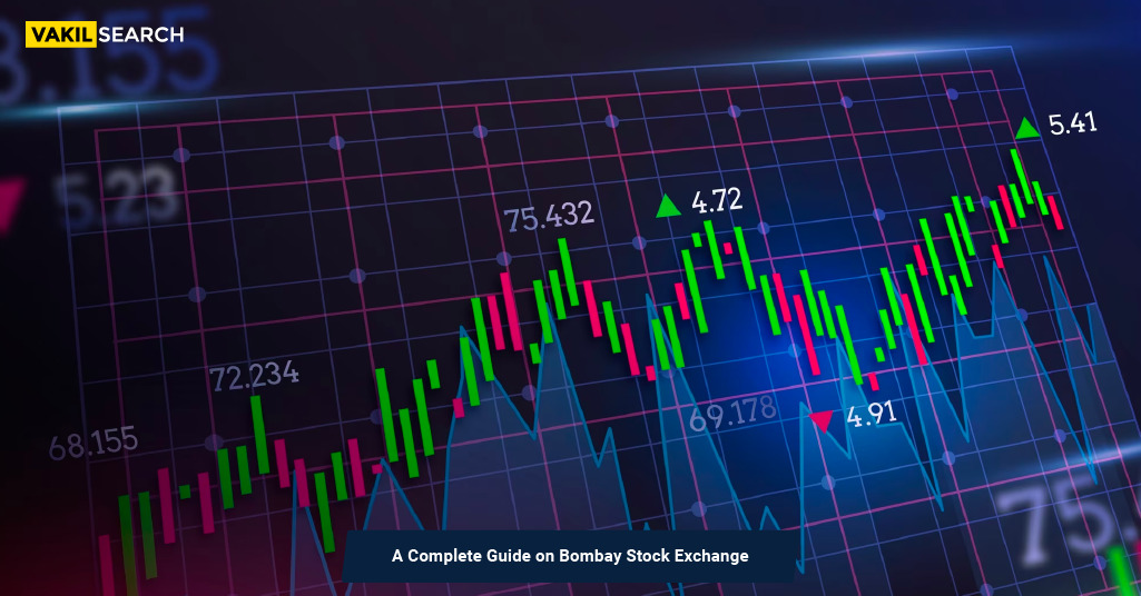 What Is the Stock Market, What Does It Do, and How Does It Work?