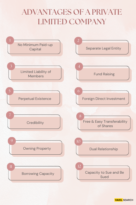 Advantages of a Private Limited Company