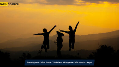 Bangalore Child Support Lawyer