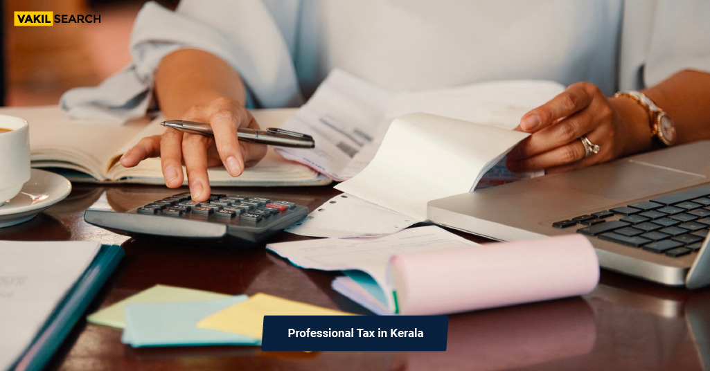 tax-professionals-small-business-bookkeeping-tax